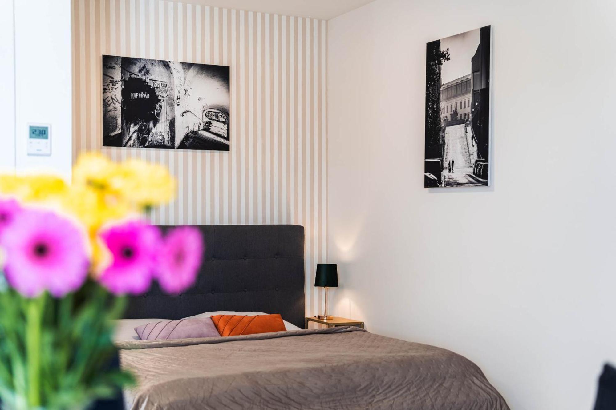 Silvie Apartments - Wolkerova Оломоуц Экстерьер фото